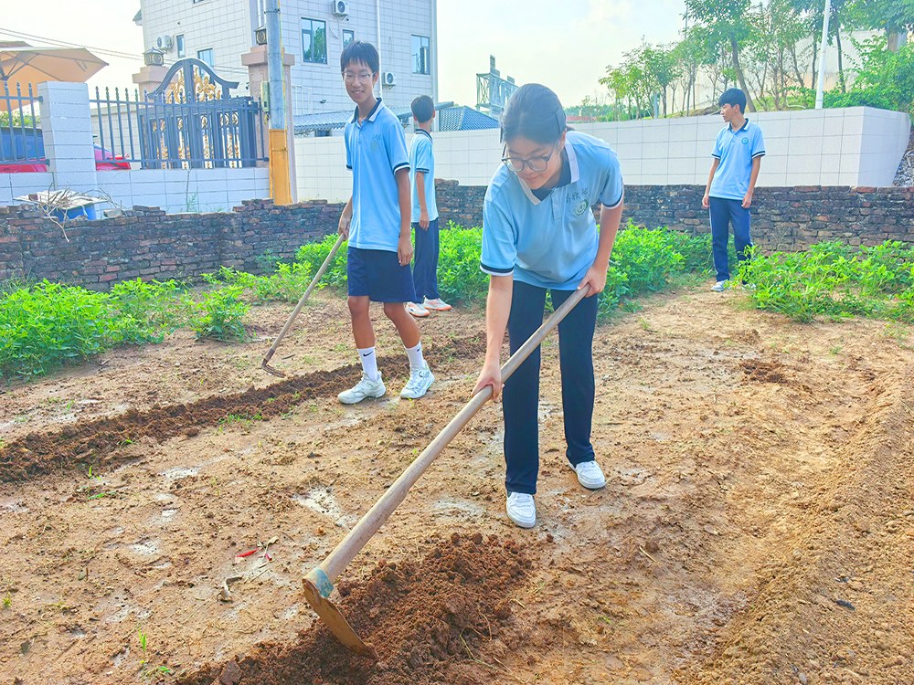 绵阳全封闭青少年素质培育机构2026家长择校指南